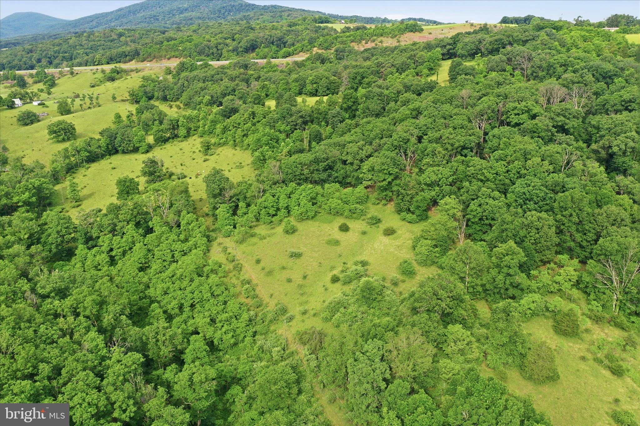 11.95-ac Luxemburg Road Baker, WV 26801 - Photo 21 of 23