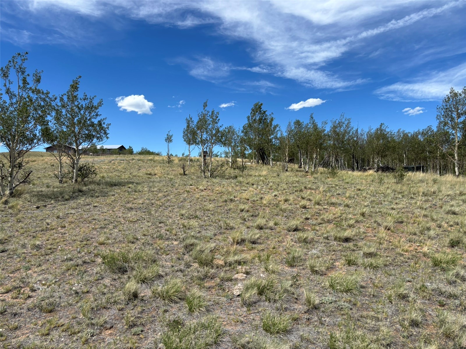 135 Hawk Way Como, CO 80432 - Photo 2 of 22 a view of a dry yard with trees