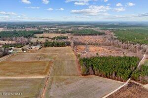 Lot 1 Purser Road Vanceboro, NC 28586 - Photo 6 of 11 Purser 5
