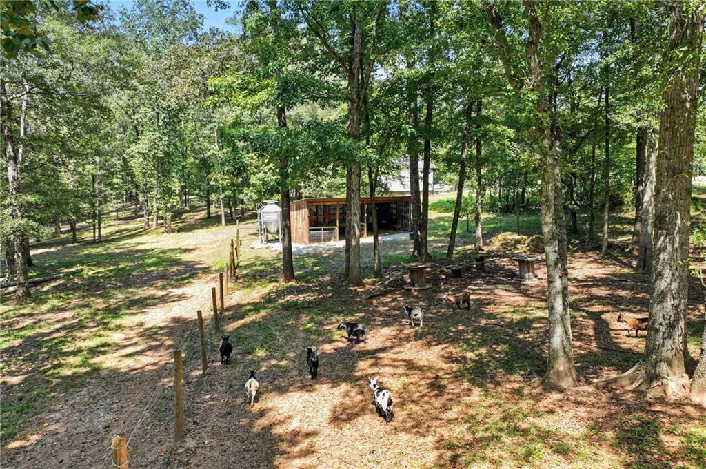 731 Borders Road Commerce, GA 30530 - Photo 11 of 75