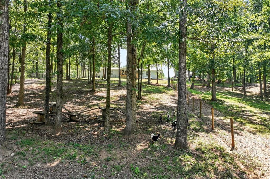 731 Borders Road Commerce, GA 30530 - Photo 13 of 75