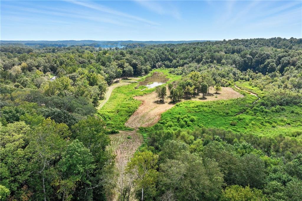 731 Borders Road Commerce, GA 30530 - Photo 30 of 75 a view of a lush green forest with trees and houses