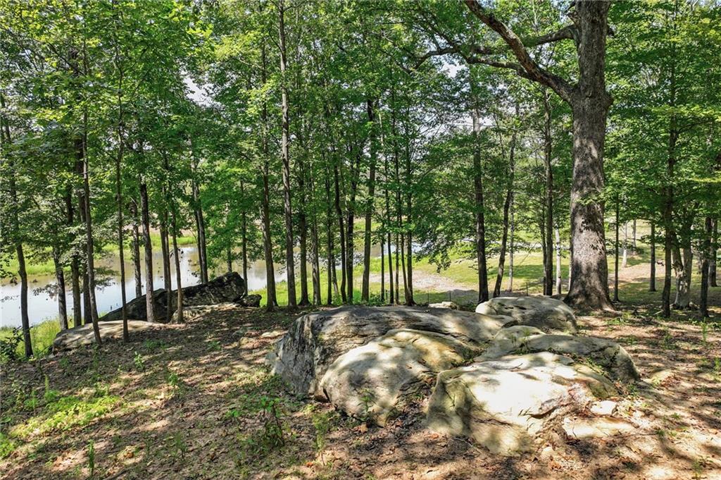 731 Borders Road Commerce, GA 30530 - Photo 31 of 75 a view of a yard with plants and trees