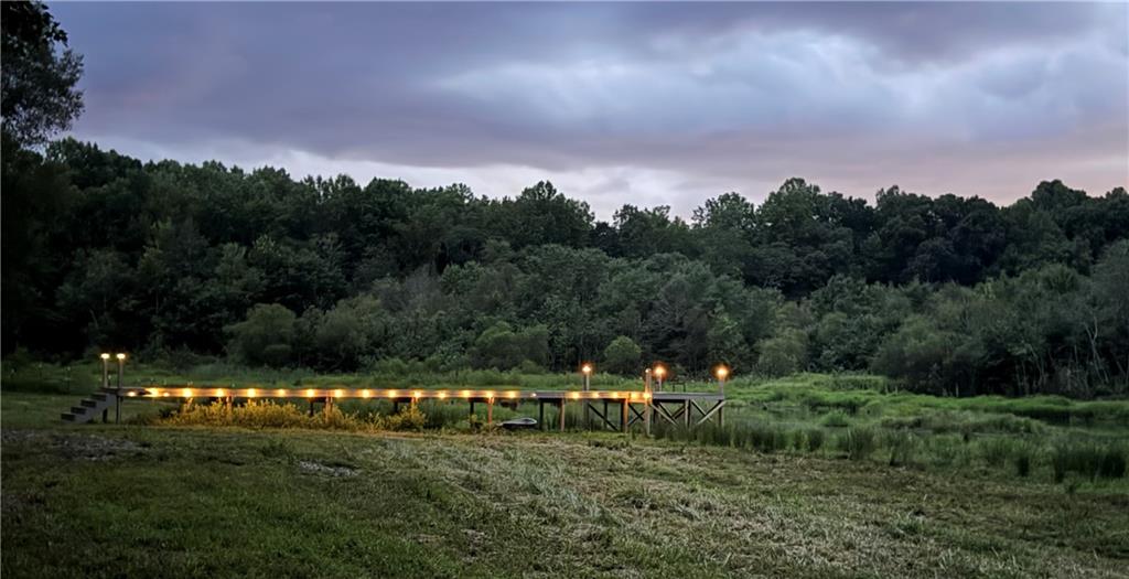 731 Borders Road Commerce, GA 30530 - Photo 5 of 75 a view of a big yard