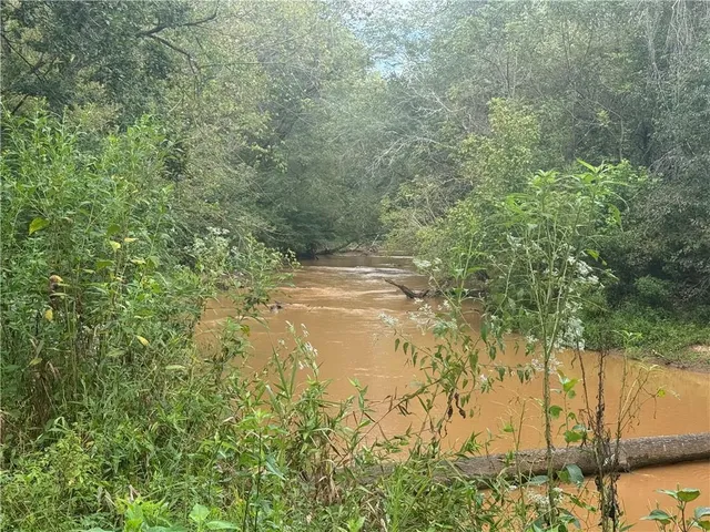 a front view of a house with a garden and trees