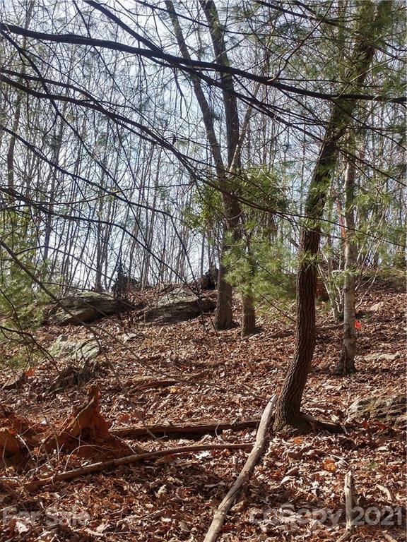 101 Ivy Road Mills River, NC 28759 - Photo 11 of 12 Gallery Image 11