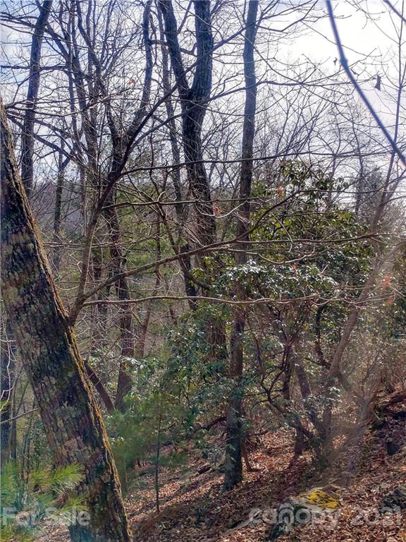 101 Ivy Road Mills River, NC 28759 - Photo 8 of 12 Gallery Image 8