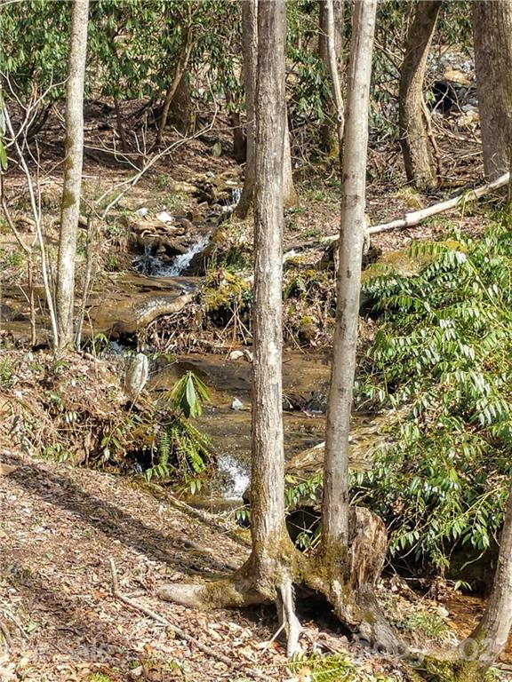 101 Ivy Road Mills River, NC 28759 - Photo 9 of 12 Gallery Image 9