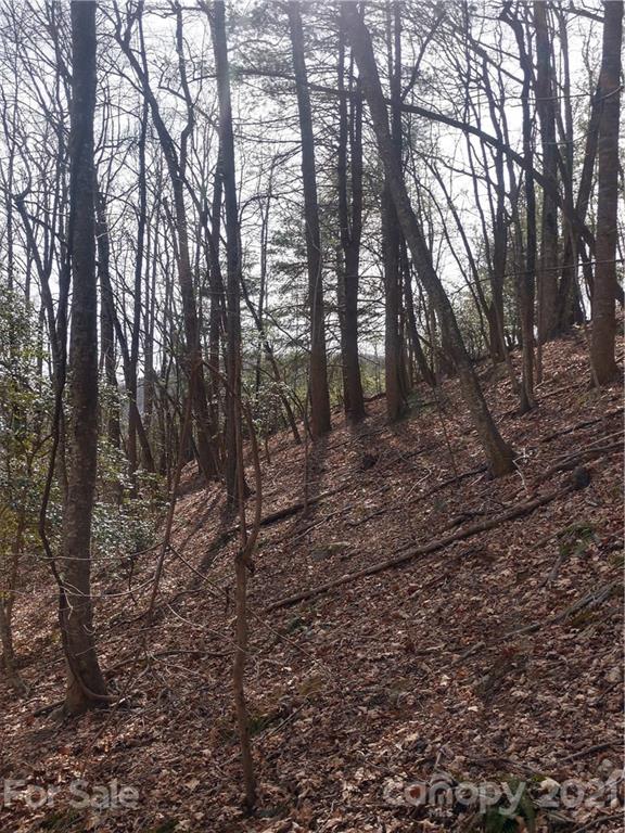 101 Ivy Road Mills River, NC 28759 - Photo 10 of 12 Gallery Image 10