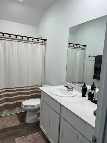a bathroom with a sink a toilet a mirror and shower curtain