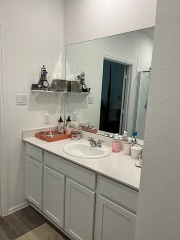 a bathroom with a sink and a mirror