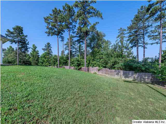 1036 Sunset Way Odenville, AL 35120 - Photo 23 of 27