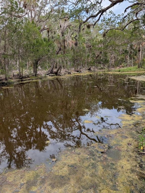 0 Southeast Bee Tree Road Inglis, FL 34449 - Photo 2 of 3