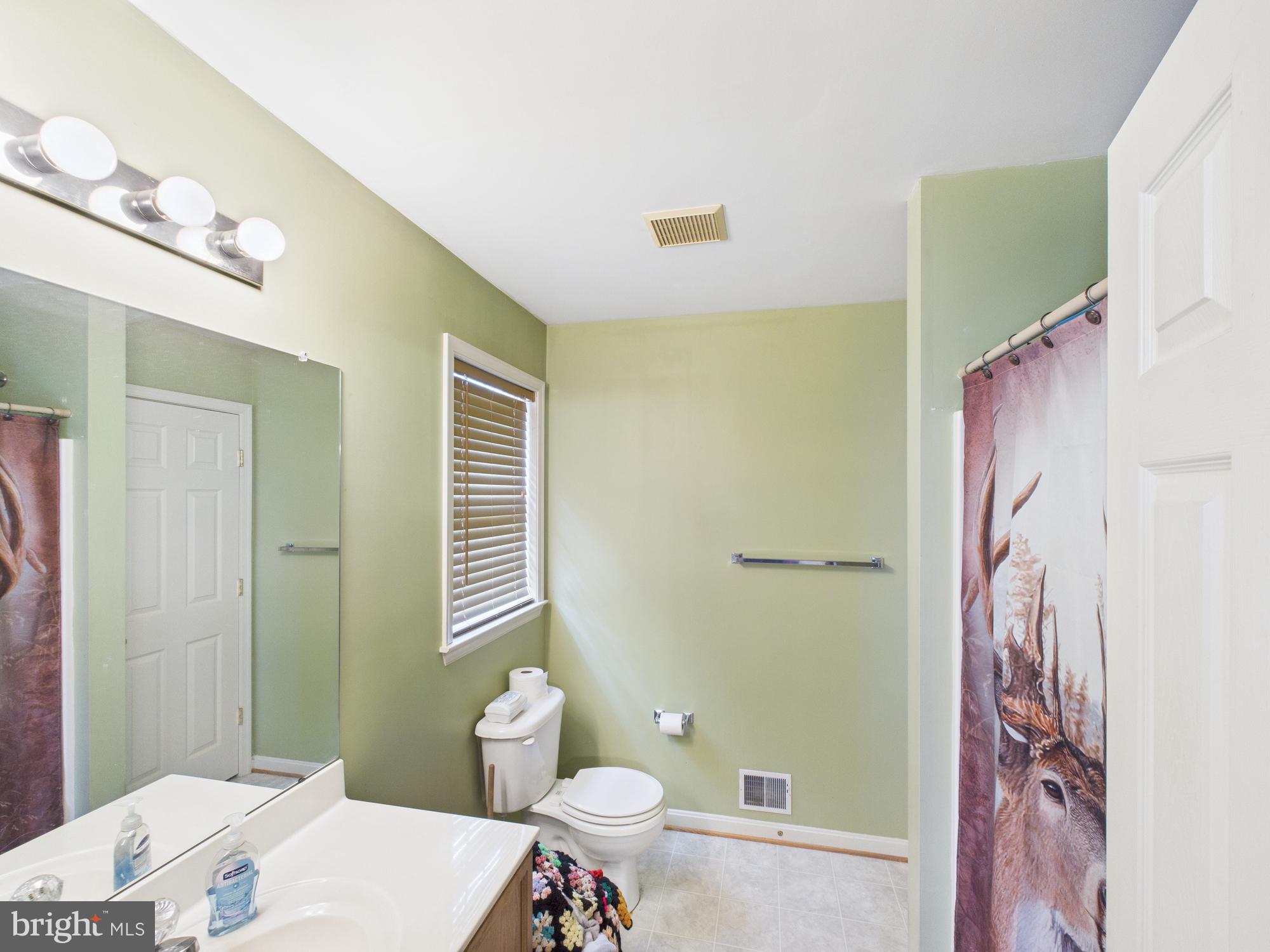 64 Bancroft Street Taneytown, MD 21787 - Photo 18 of 29 a bathroom with a sink a toilet and shower