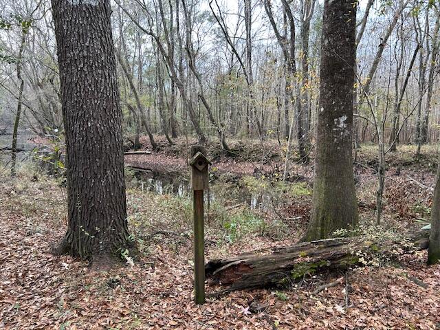 0 Parkers Ferry Road Adams Run, SC 29426 - Photo 2 of 4 IMG_4894