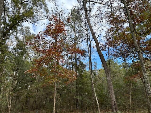 0 Parkers Ferry Road Adams Run, SC 29426 - Photo 3 of 4 IMG_4895