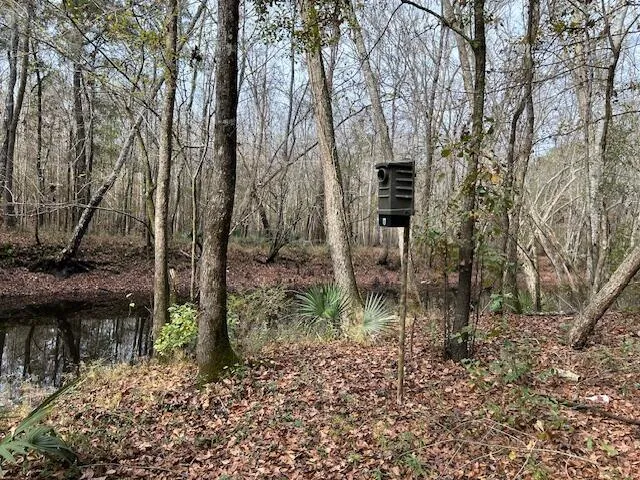 $35,000 | 0 Parkers Ferry Road, Adams Run, SC 29426