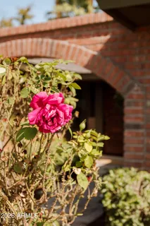 a view of a pathway that has potted plants and a large tree
