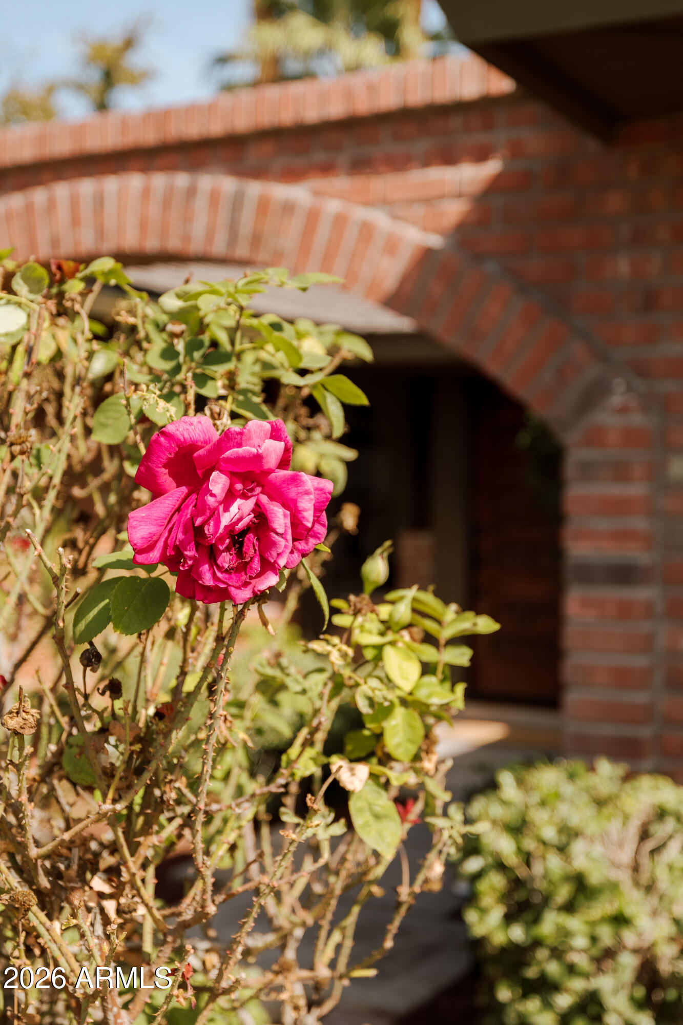 7737 North 6th Street Phoenix, AZ 85020 - Photo 4 of 57 7737 N 6th St._05