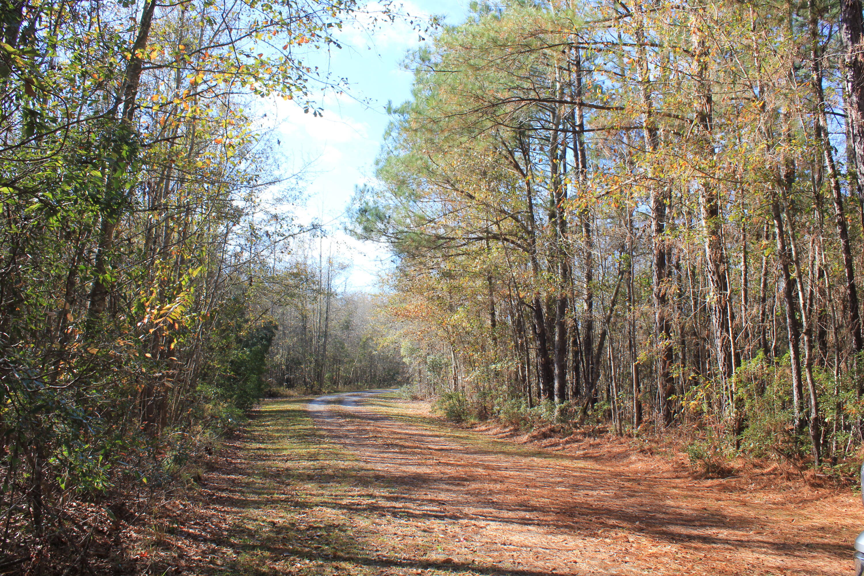 912 Sugar Hill Road St. George, SC 29477 - Photo 21 of 25 IMG_1503