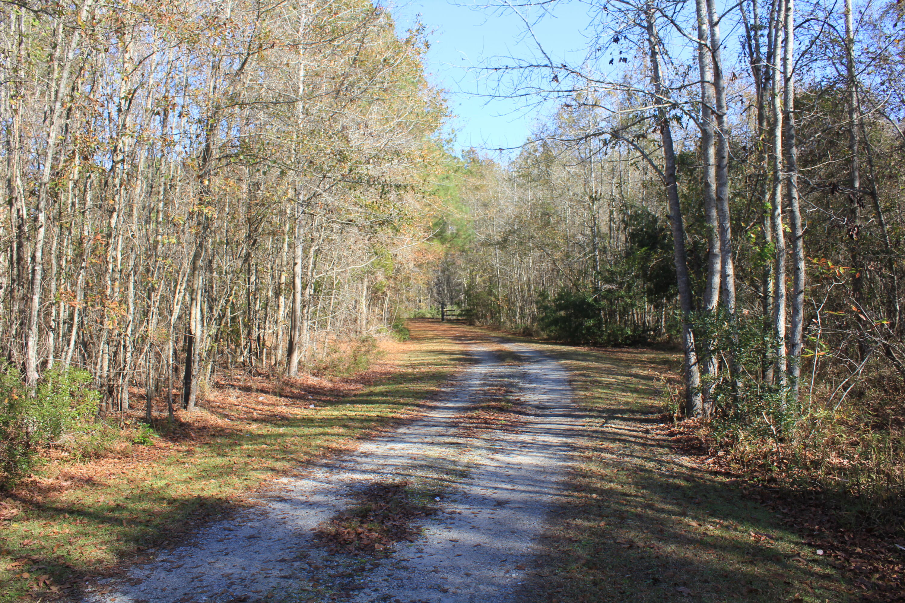 912 Sugar Hill Road St. George, SC 29477 - Photo 22 of 25 IMG_1505