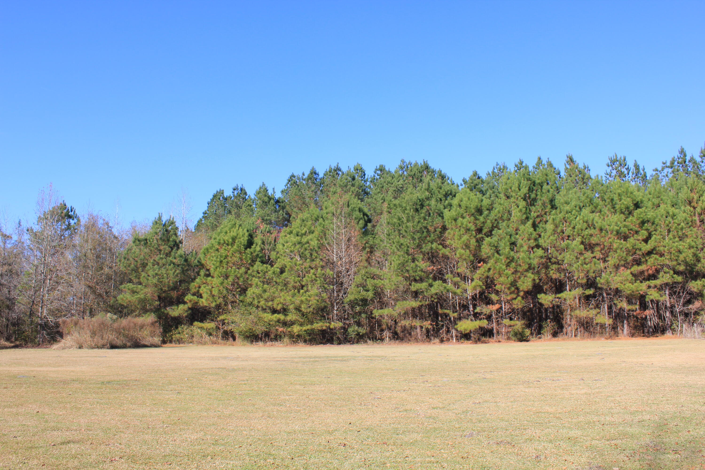912 Sugar Hill Road St. George, SC 29477 - Photo 24 of 25 IMG_1510