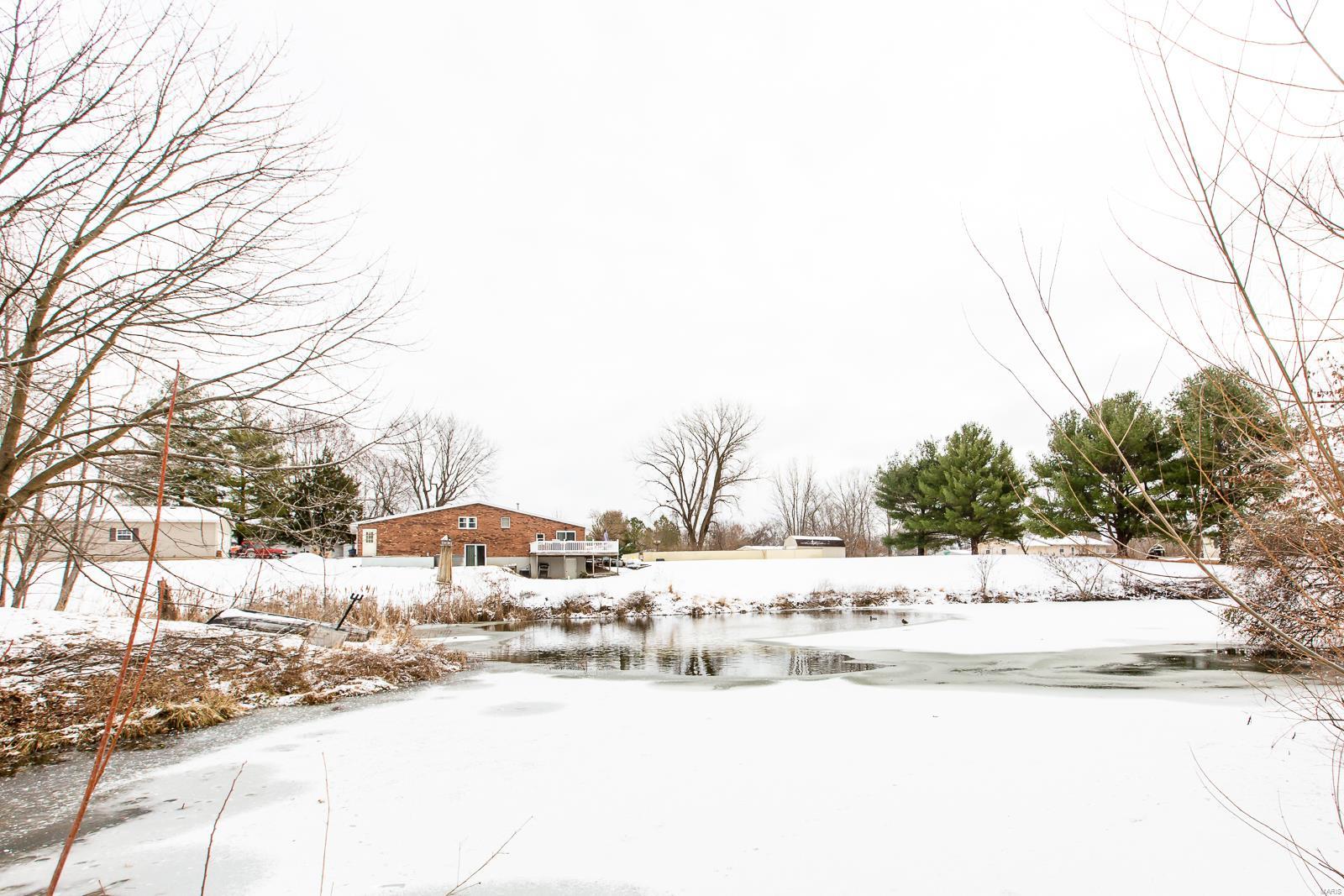 16461 Pine Hurst Brighton, IL 62012 - Photo 6 of 31