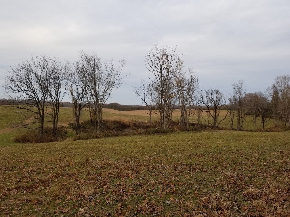 1099 East Robertson Road Castalian Springs, TN 37031 - Photo 11 of 17 Gallery Image 11
