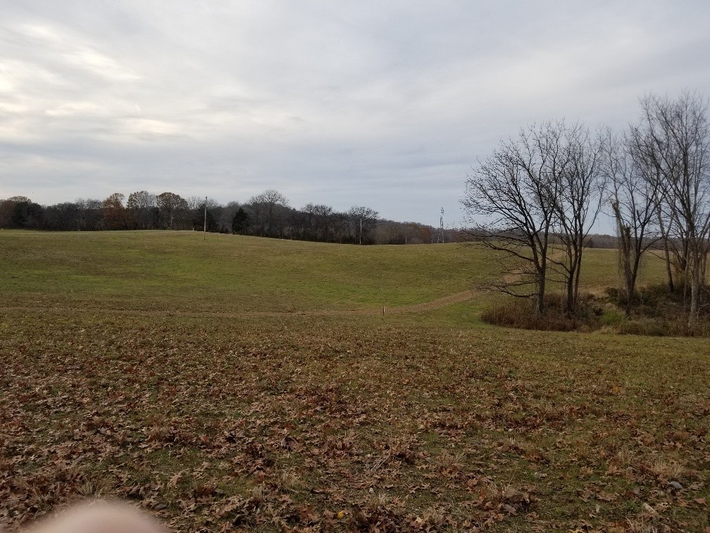 1099 East Robertson Road Castalian Springs, TN 37031 - Photo 12 of 17 Gallery Image 12