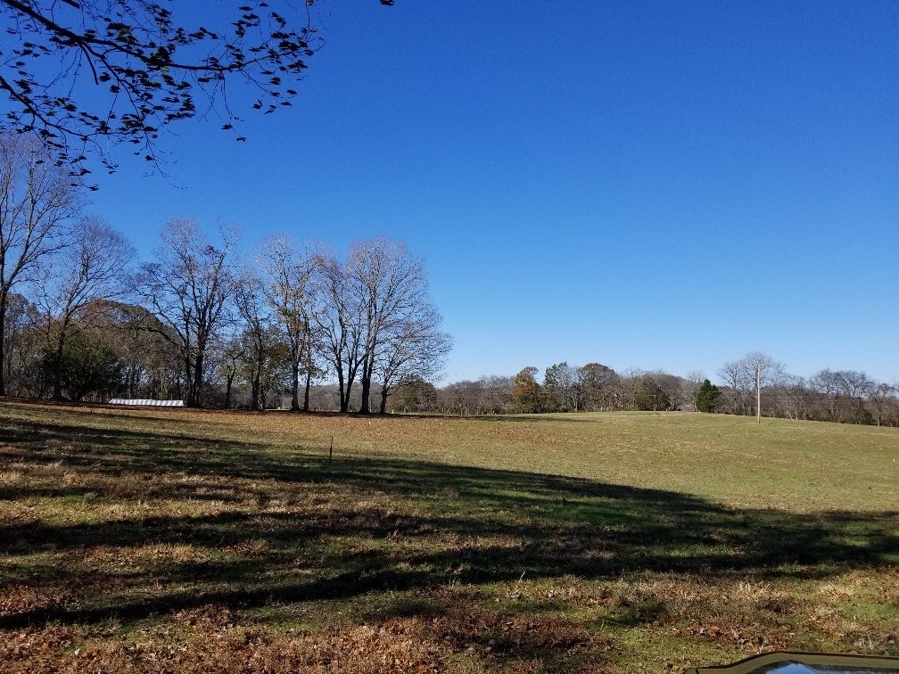 1099 East Robertson Road Castalian Springs, TN 37031 - Photo 13 of 17 Gallery Image 13