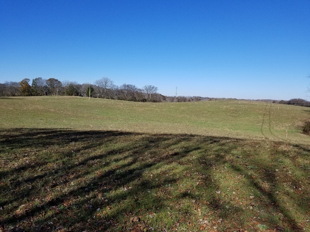 1099 East Robertson Road Castalian Springs, TN 37031 - Photo 14 of 17 Gallery Image 14