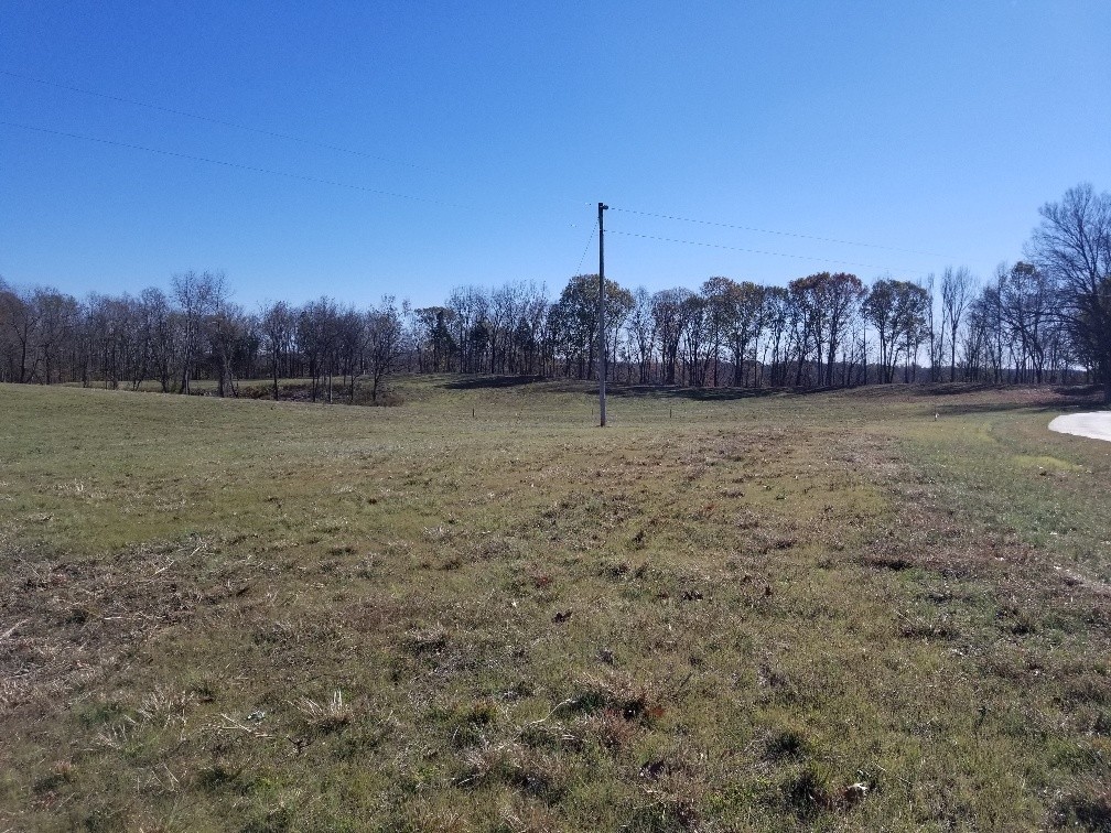1099 East Robertson Road Castalian Springs, TN 37031 - Photo 15 of 17 Gallery Image 15