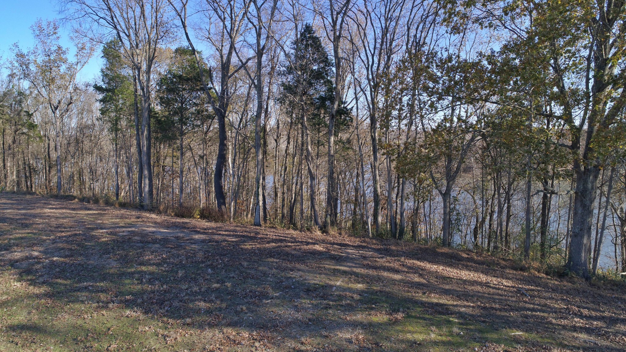 1099 East Robertson Road Castalian Springs, TN 37031 - Photo 16 of 17 Gallery Image 16