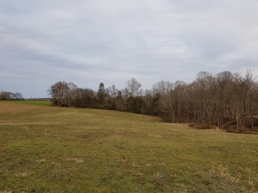 1099 East Robertson Road Castalian Springs, TN 37031 - Photo 9 of 17 Gallery Image 9