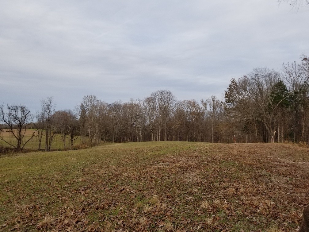 1099 East Robertson Road Castalian Springs, TN 37031 - Photo 10 of 17 Gallery Image 10