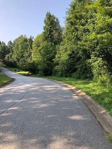 a view of a yard with a large trees