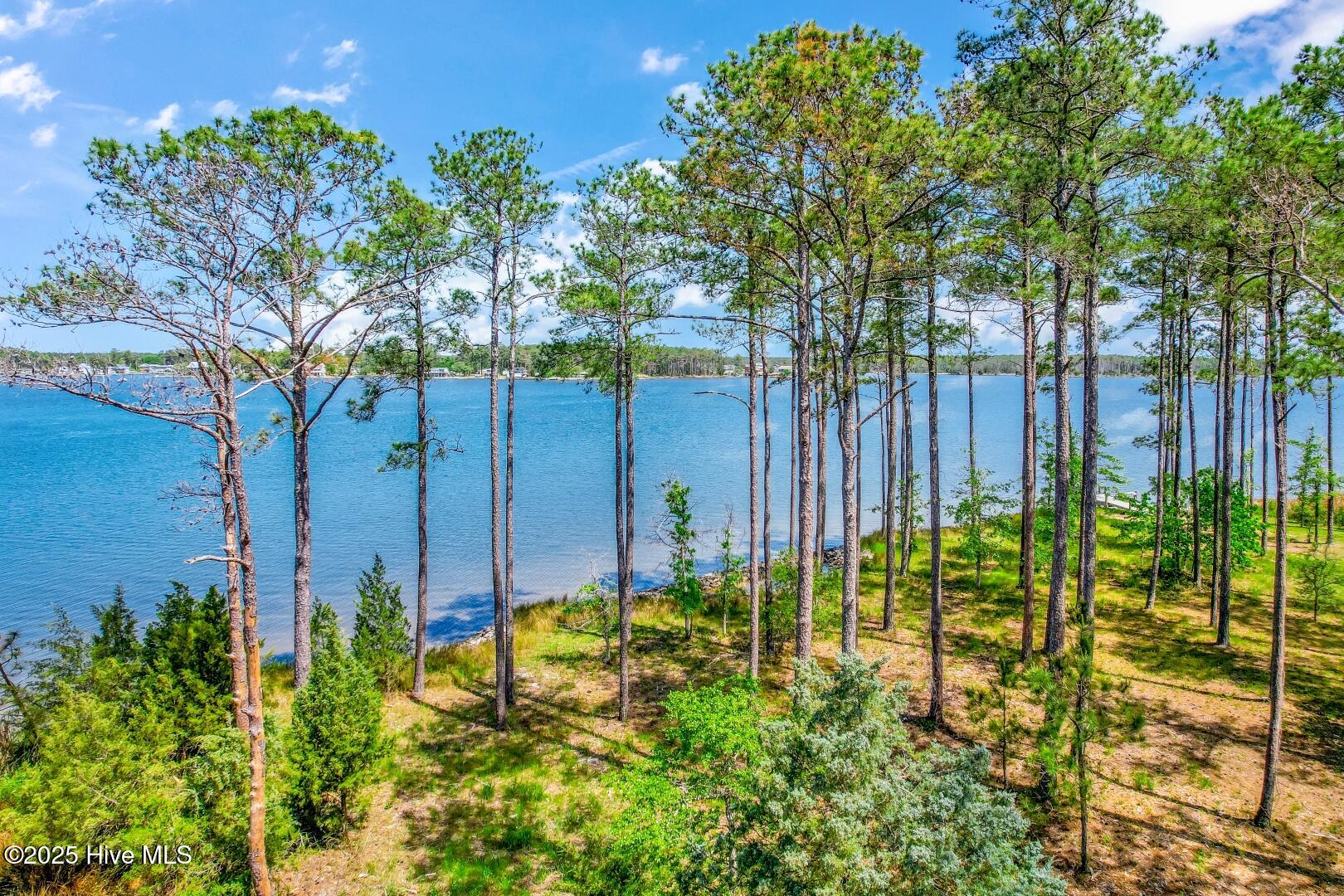 241 Oyster Point Road Oriental, NC 28571 - Photo 20 of 53 241 Oyster Point (38)