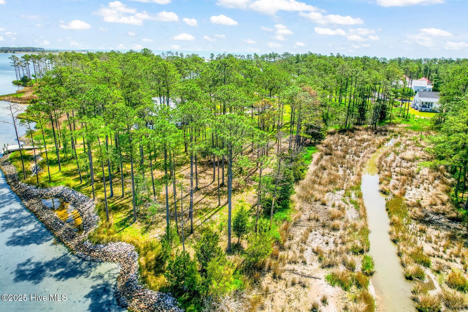 241 Oyster Point Road Oriental, NC 28571 - Photo 22 of 53 241 Oyster Point (28)