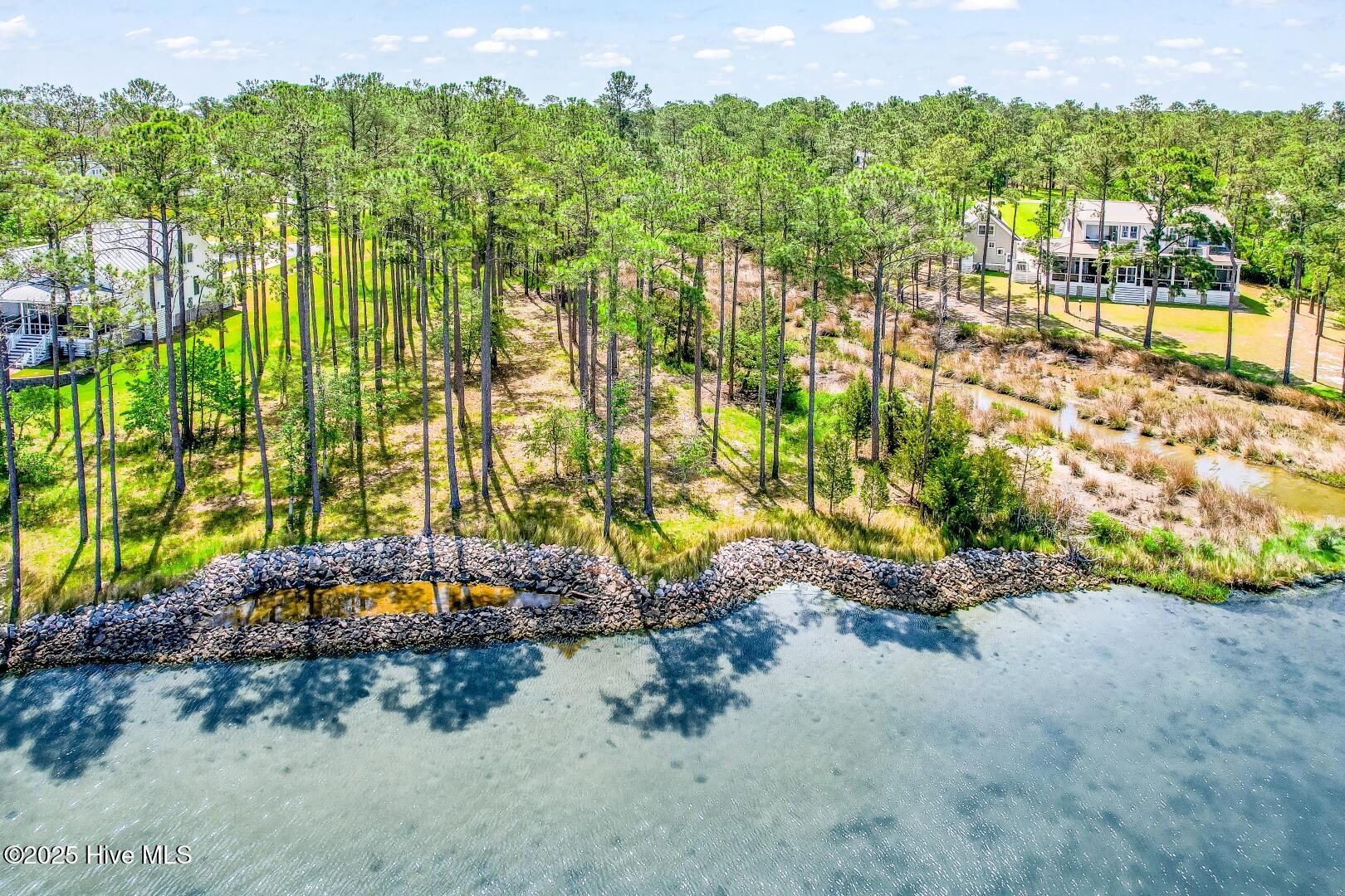 241 Oyster Point Road Oriental, NC 28571 - Photo 7 of 53 241 Oyster Point (29)