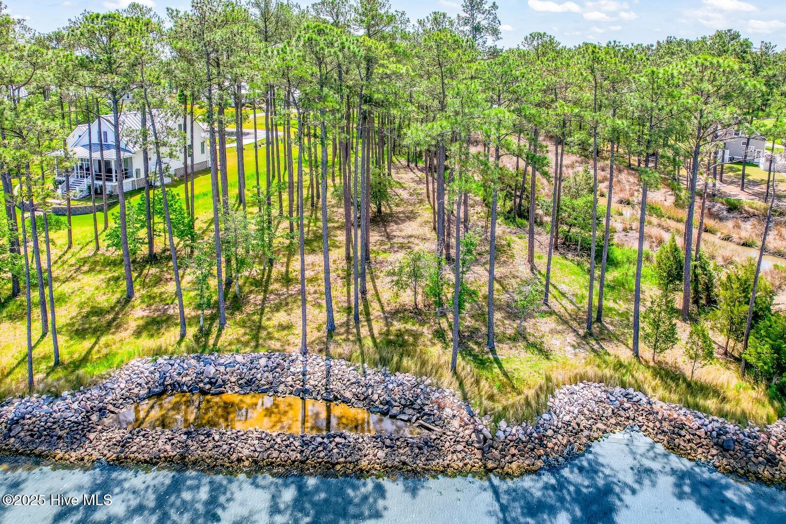 241 Oyster Point Road Oriental, NC 28571 - Photo 9 of 53 241 Oyster Point (30)