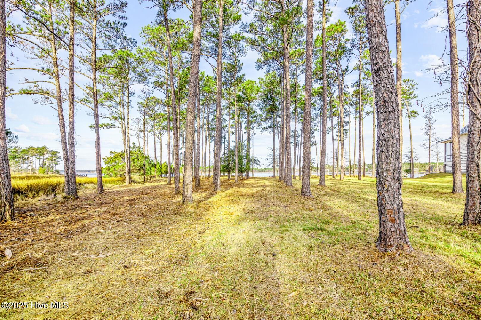 241 Oyster Point Road Oriental, NC 28571 - Photo 10 of 53 241 Oyster Point (5)