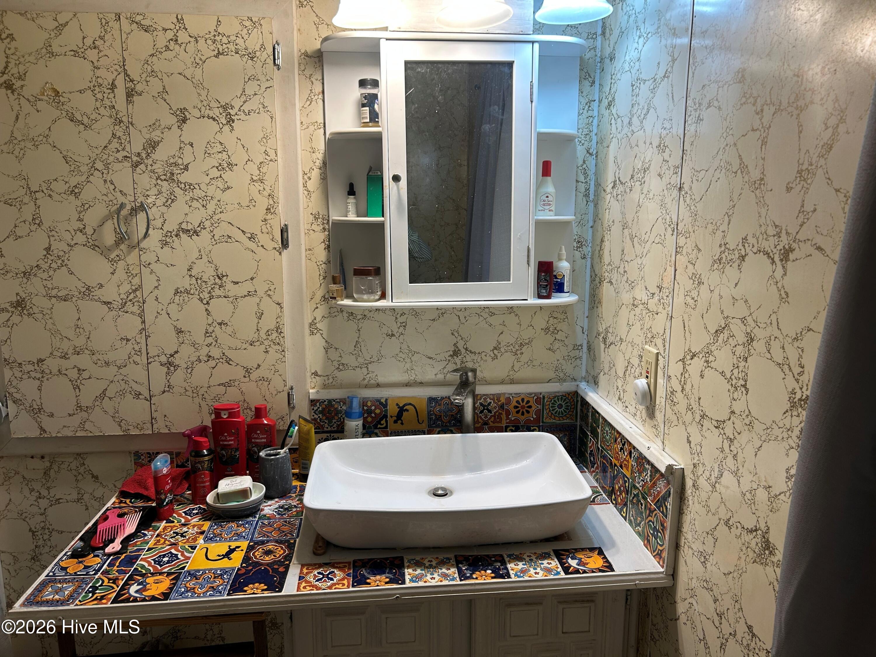 1039 Pine Ridge Road Merry Hill, NC 27957 - Photo 16 of 25 Primary Bathroom