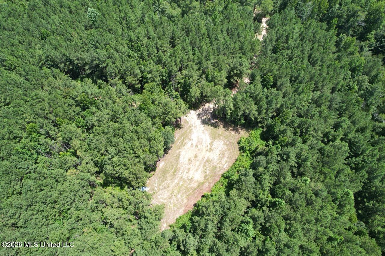 399 Northeast Dummyline Road Brookhaven, MS 39601 - Photo 2 of 33 DJI_0668 Large