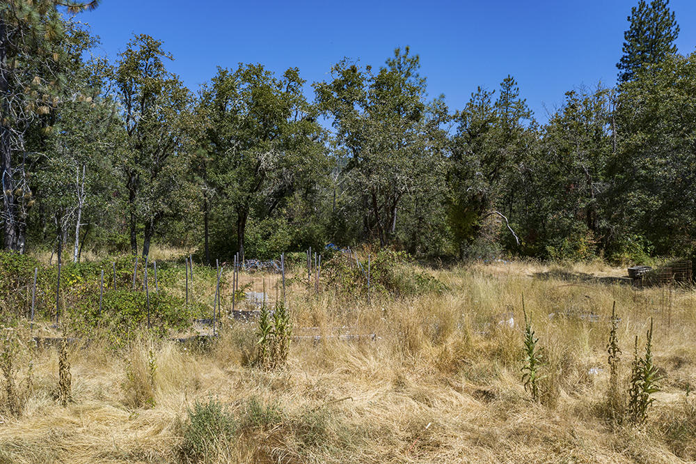 7970 Takilma Road Cave Junction, OR 97523 - Photo 38 of 47 Takilma 38