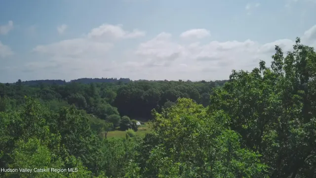 a view of a lot of trees in a field