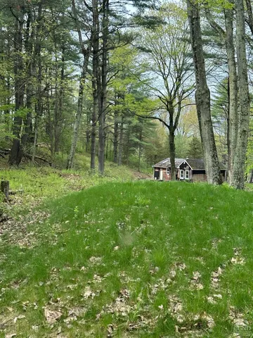 a view of green field with trees in the background