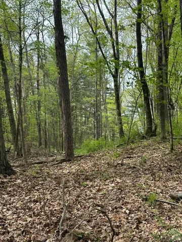 a view of outdoor space with trees