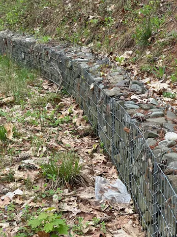 a view of a garden with a tree