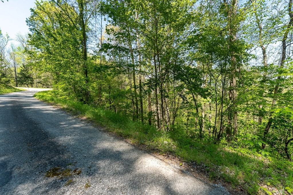 94 Austin Bottom Baxter, TN 38544 - Photo 13 of 19