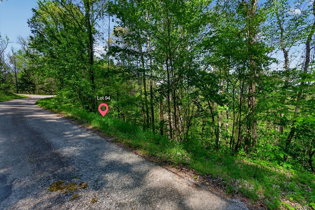 94 Austin Bottom Baxter, TN 38544 - Photo 14 of 19